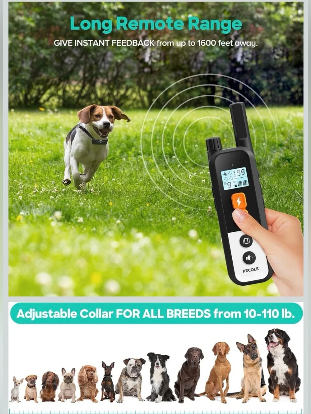 PECOLE Dog Training Collar Rechargeable Waterproof Remote 1600ft